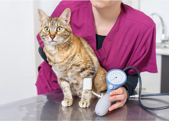 image 2025 09 10T121107.812