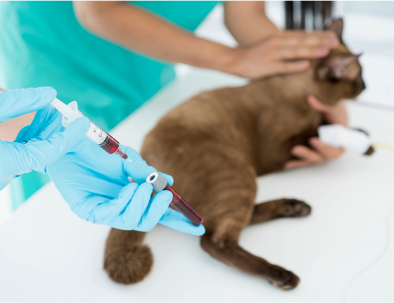 image 2025 09 10T121239.117