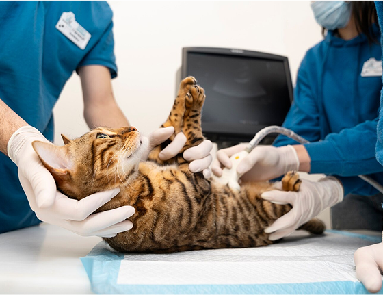 image 2025 09 10T121507.013